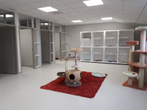 Vetsone-boarding-cattery